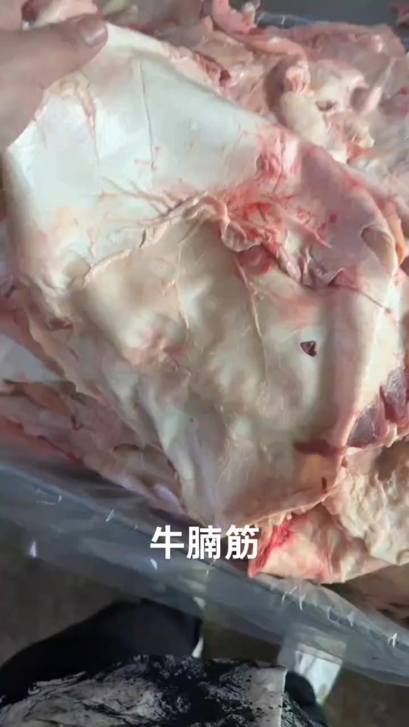 牛腩筋现货，货源充足大量有货