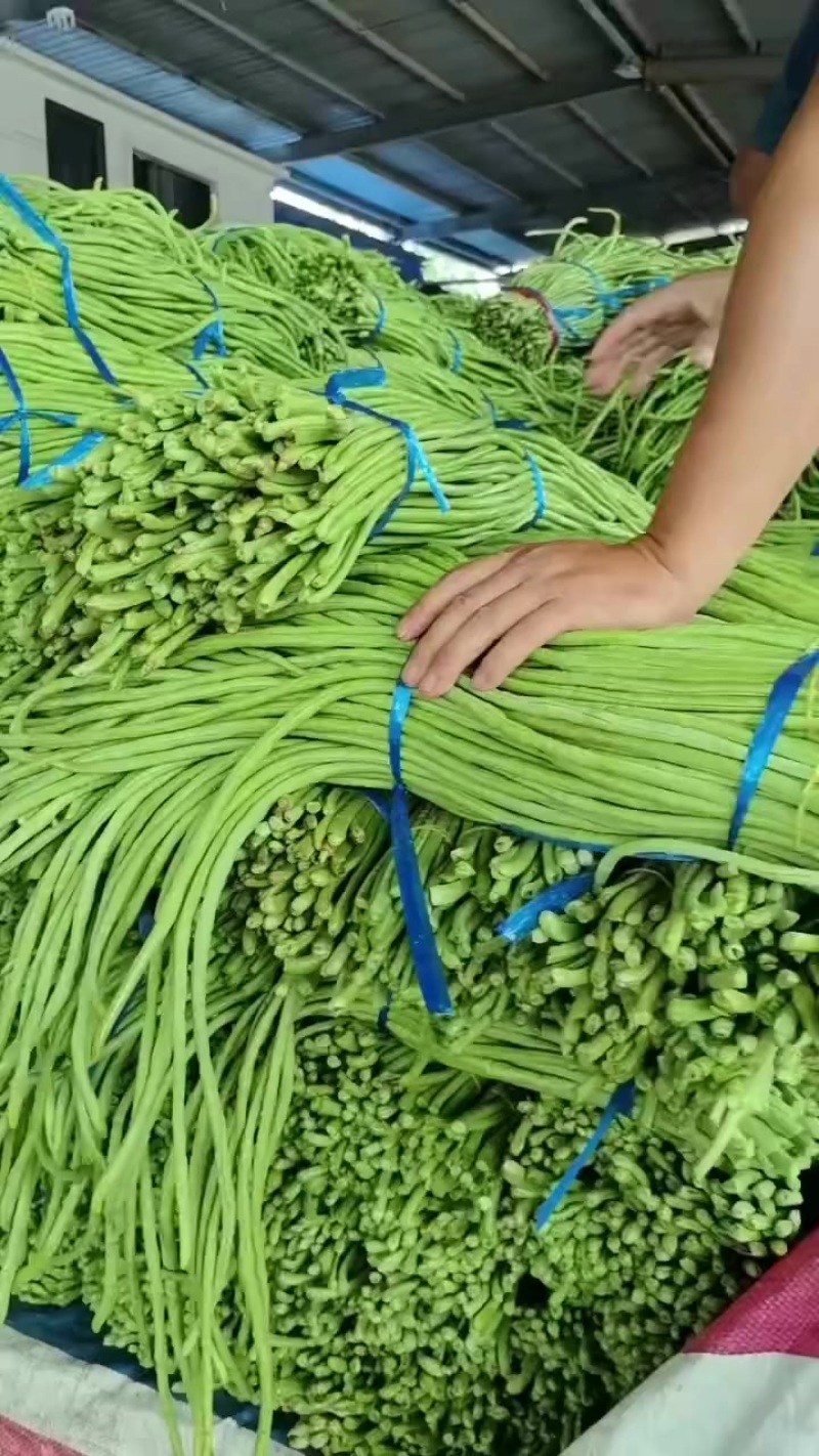豆角