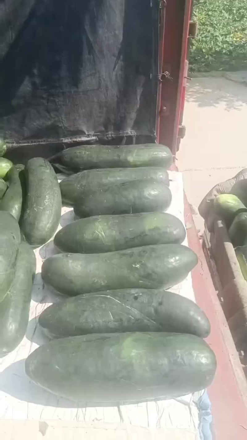诚心代办