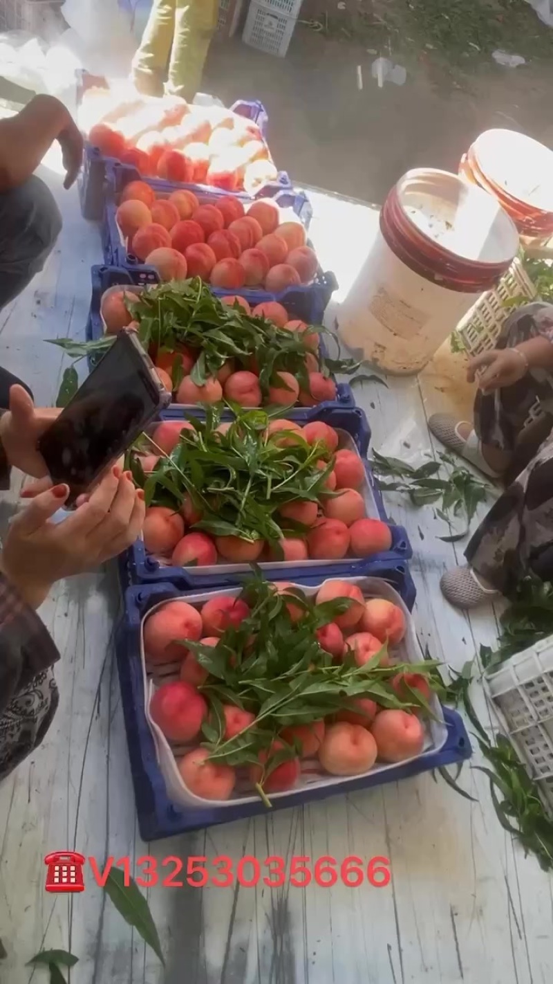 质量口感好