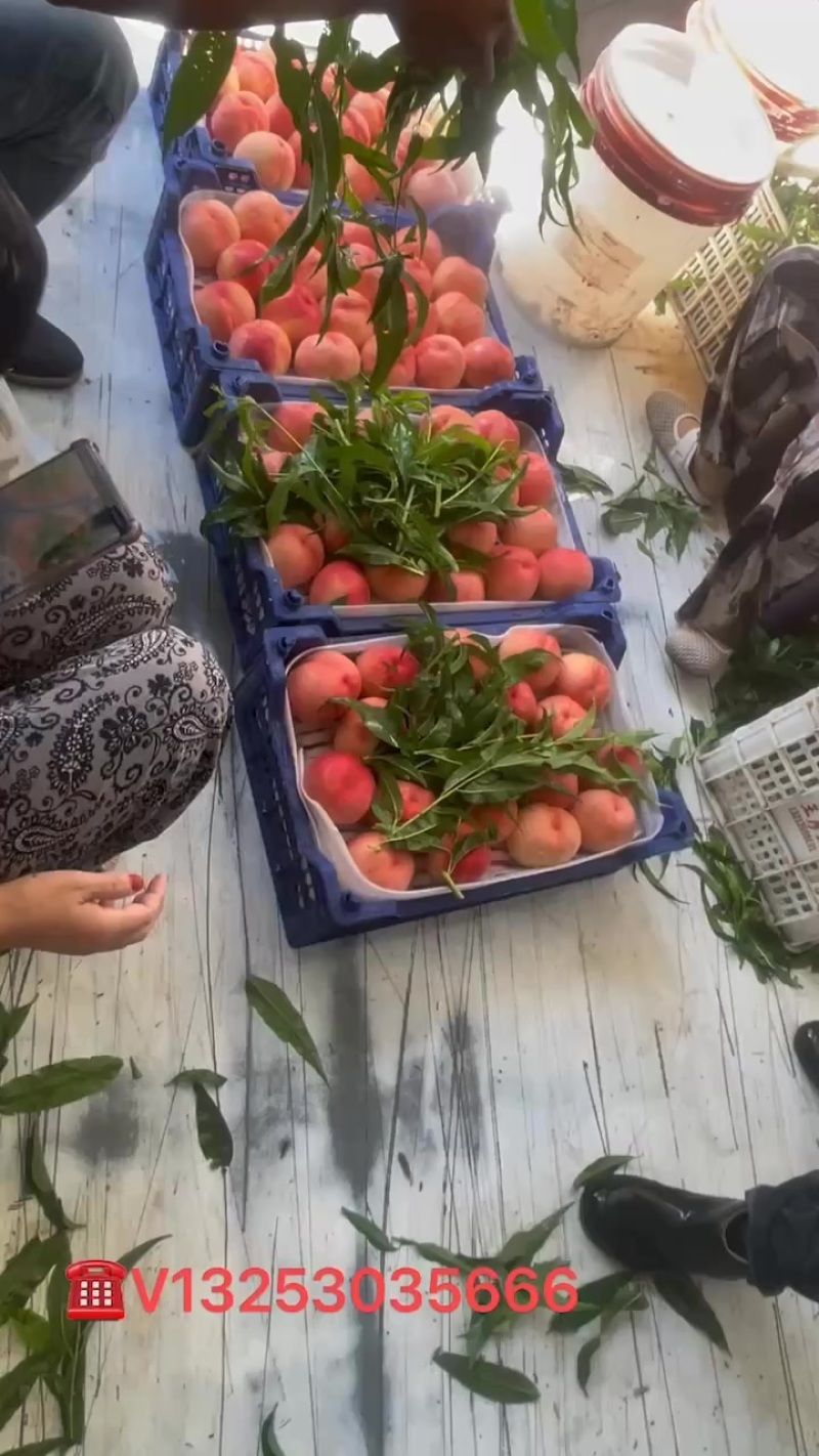 质量口感好