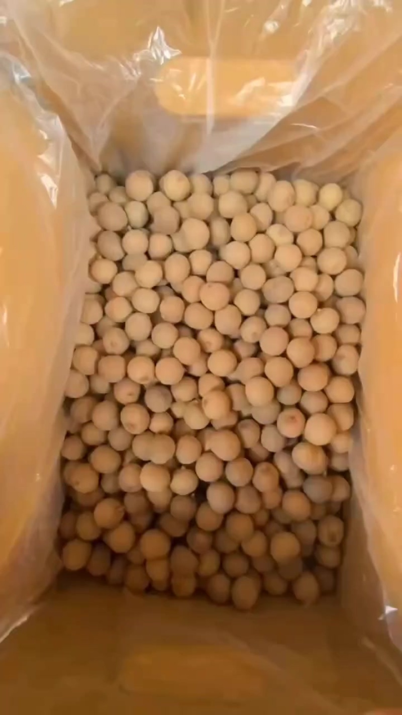 AA级泰国桂圆干核小肉厚，香甜如蜜，8元/斤满满诚意。