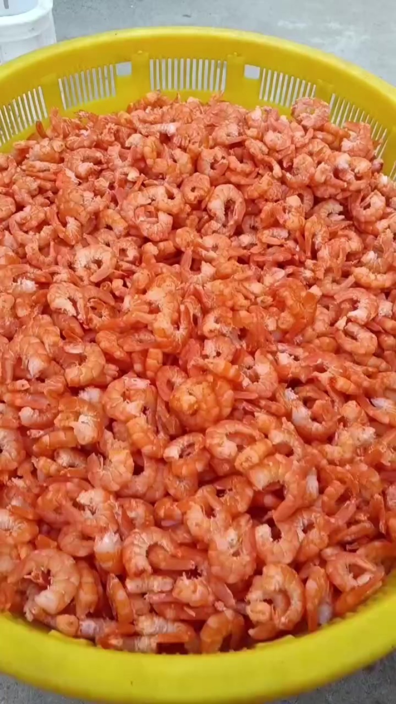 虾仁