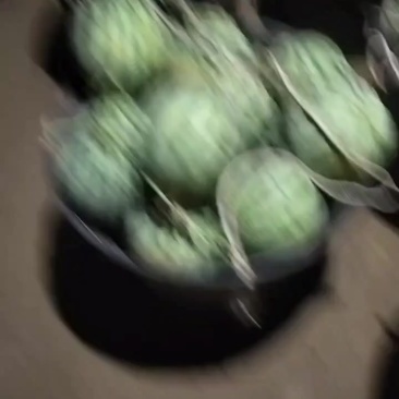 江苏盐城麒麟美都二茬西瓜