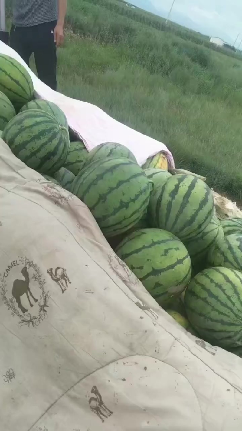 西瓜