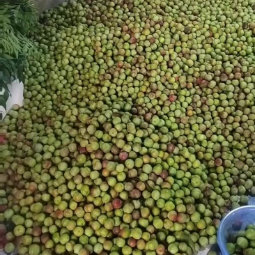 半边红