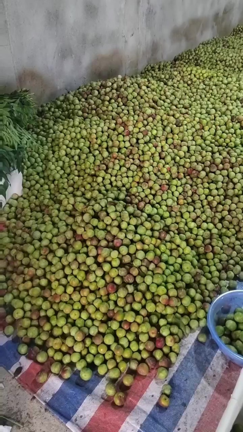 半边红