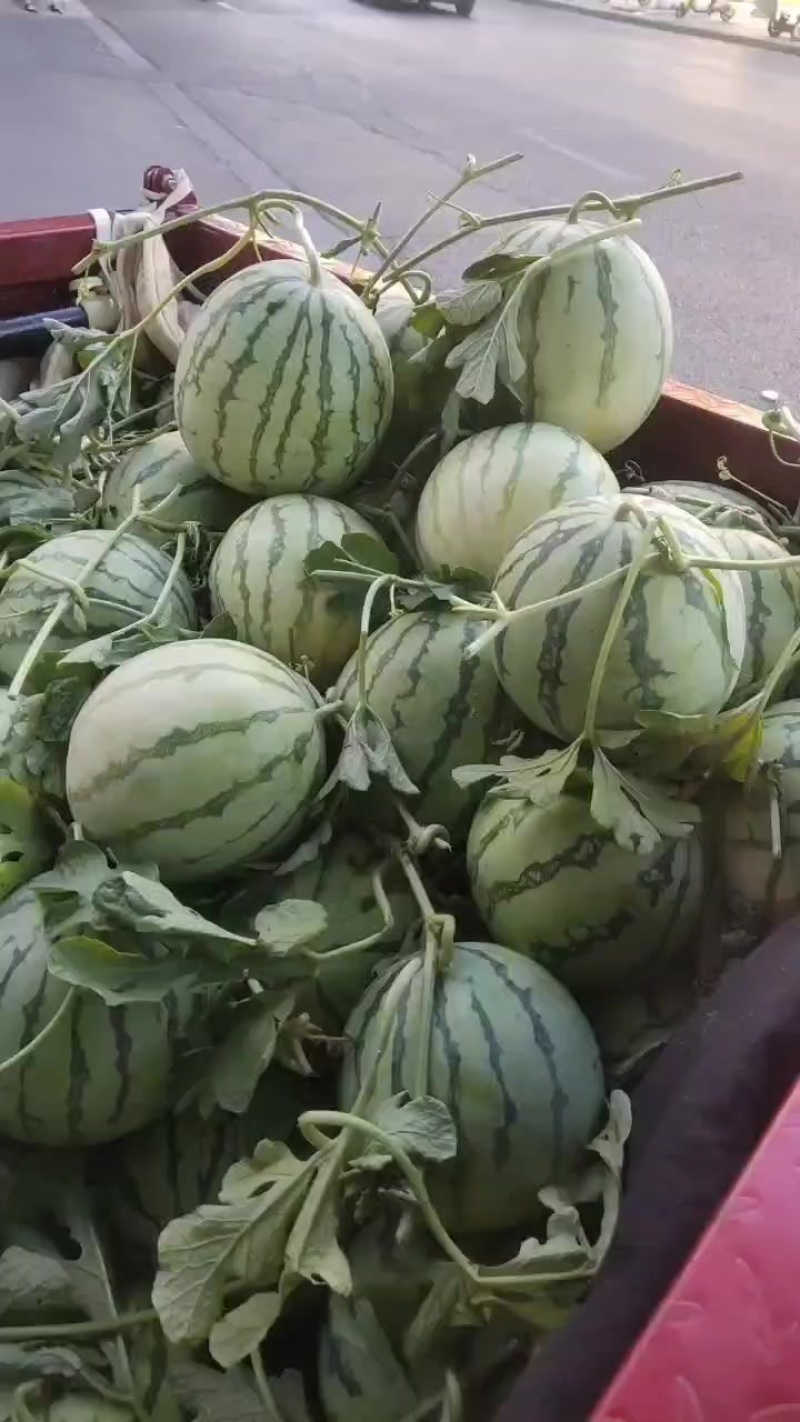 麒麟美都