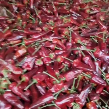 干辣椒，朝天椒，子弹，辣椒，团子，辣椒