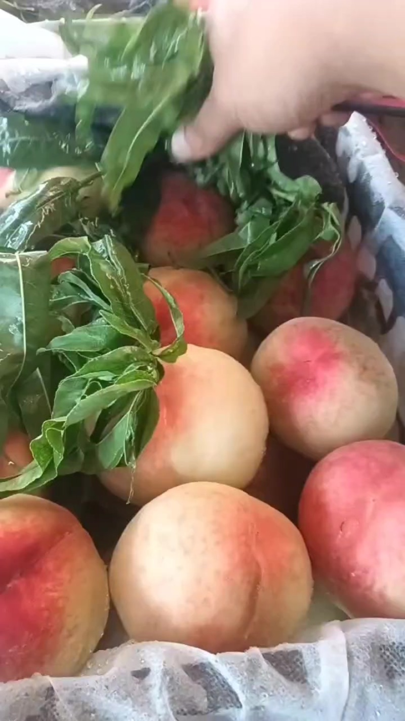 **甜，走货快