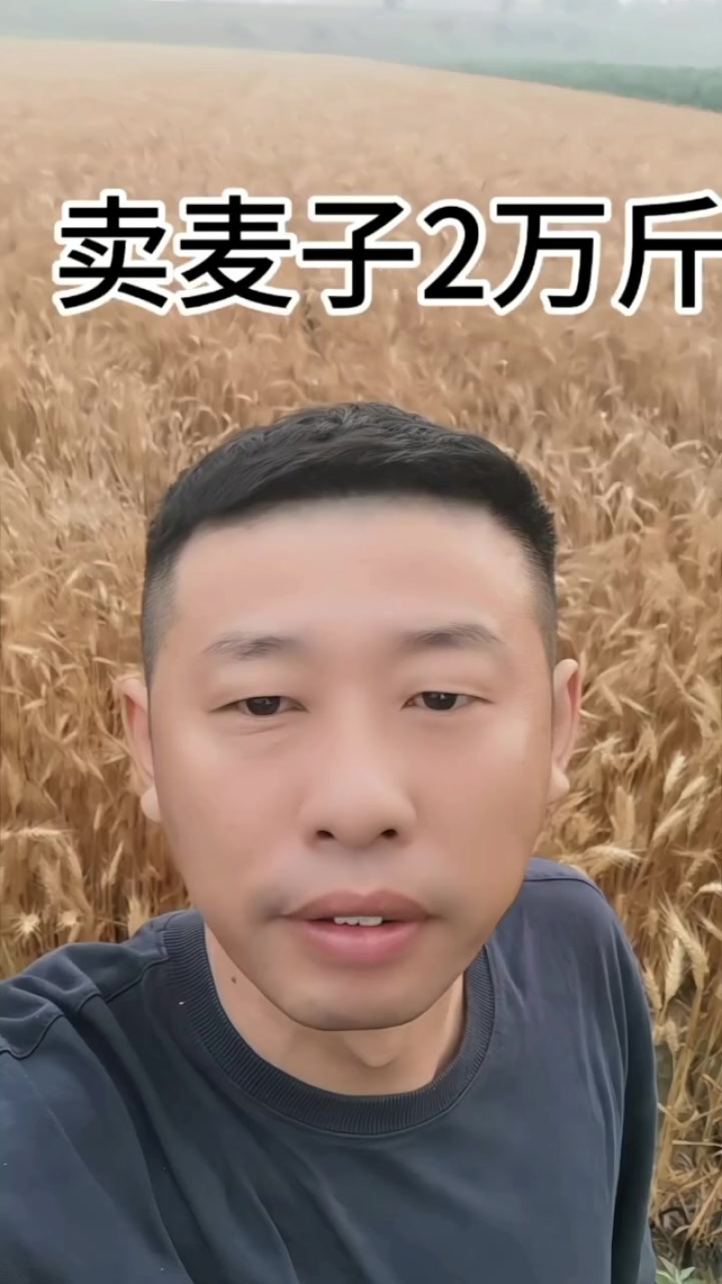 松原冰小麦