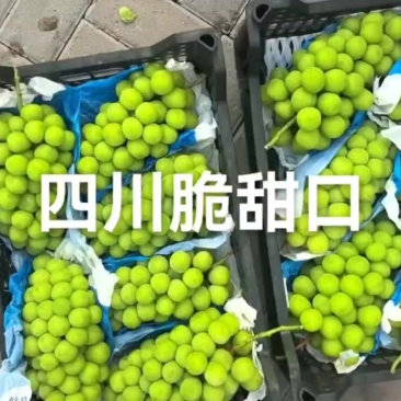 川货