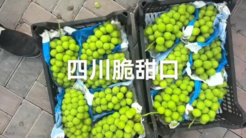 川货