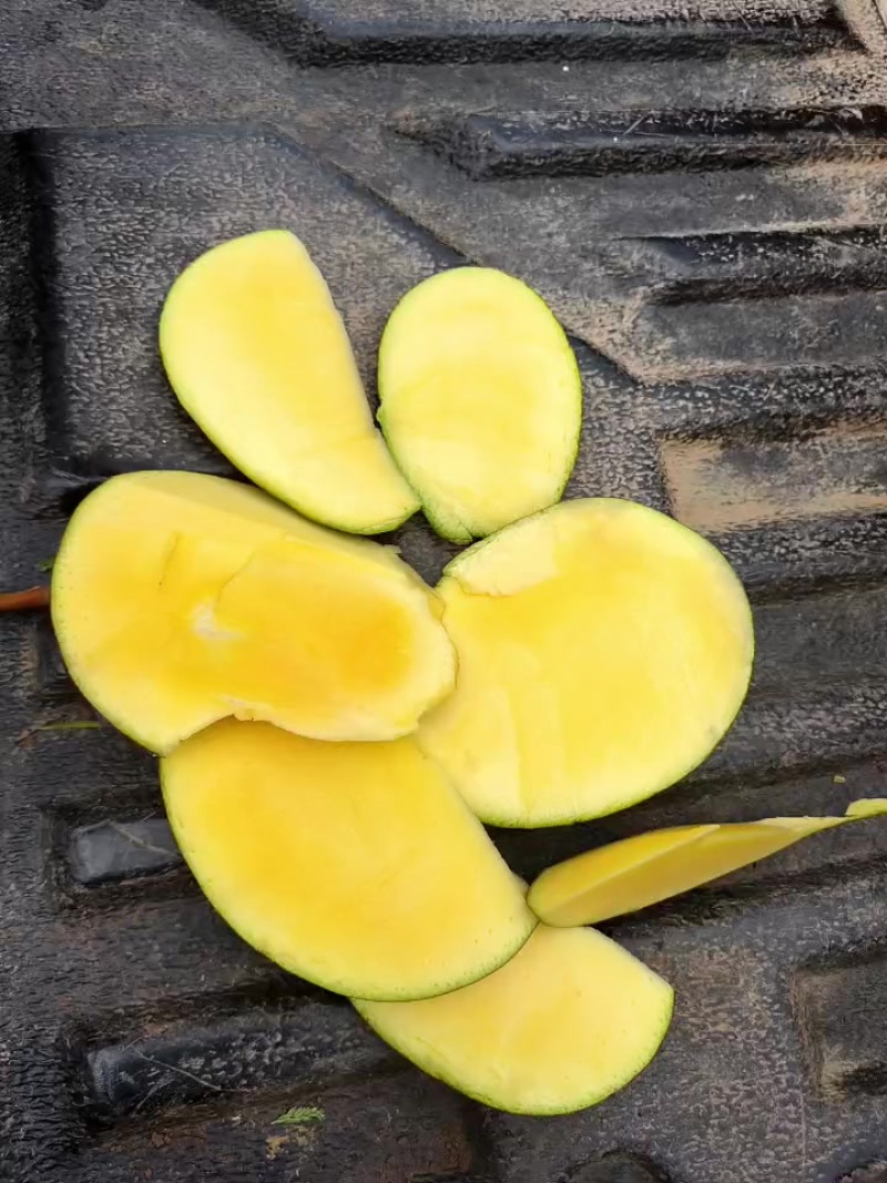 云南芒果