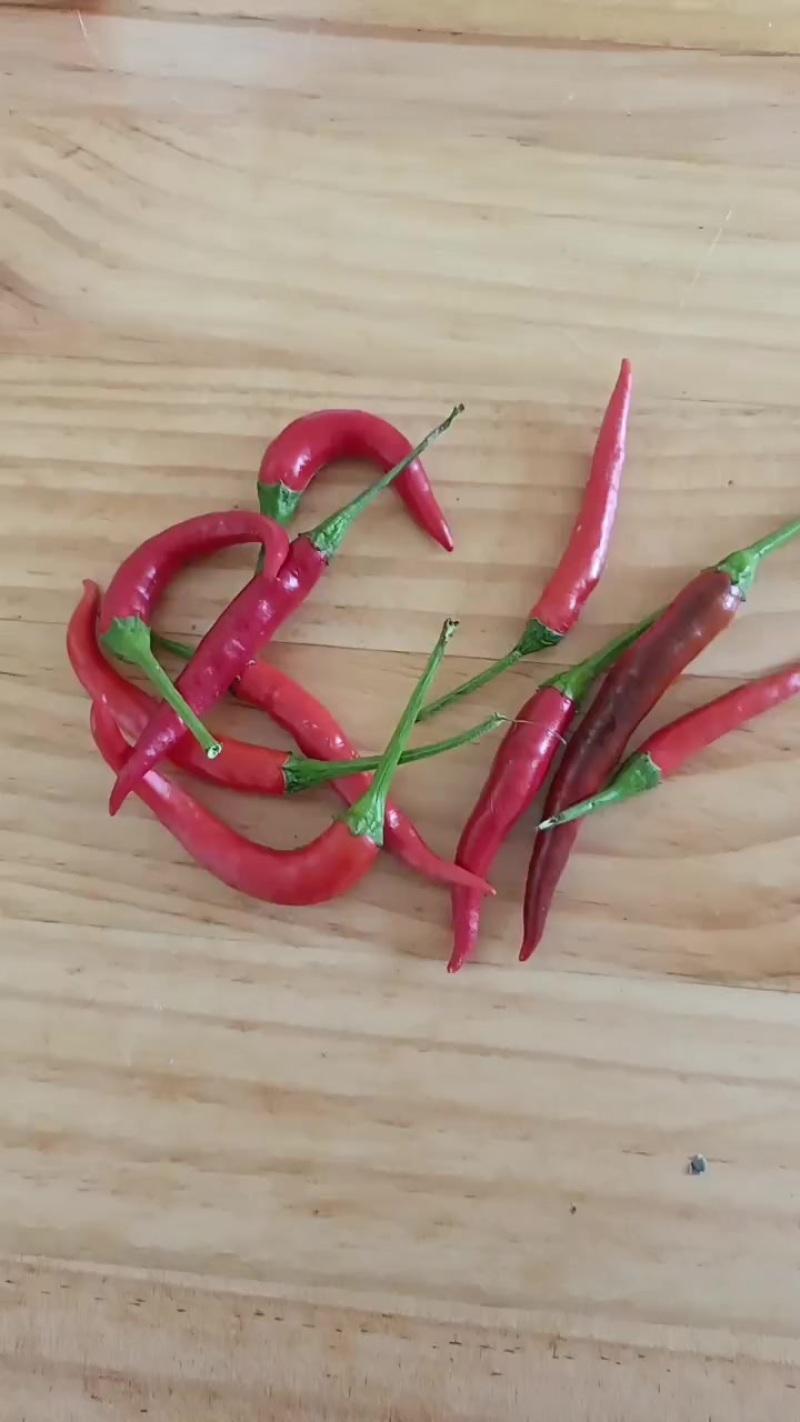 优质小米辣