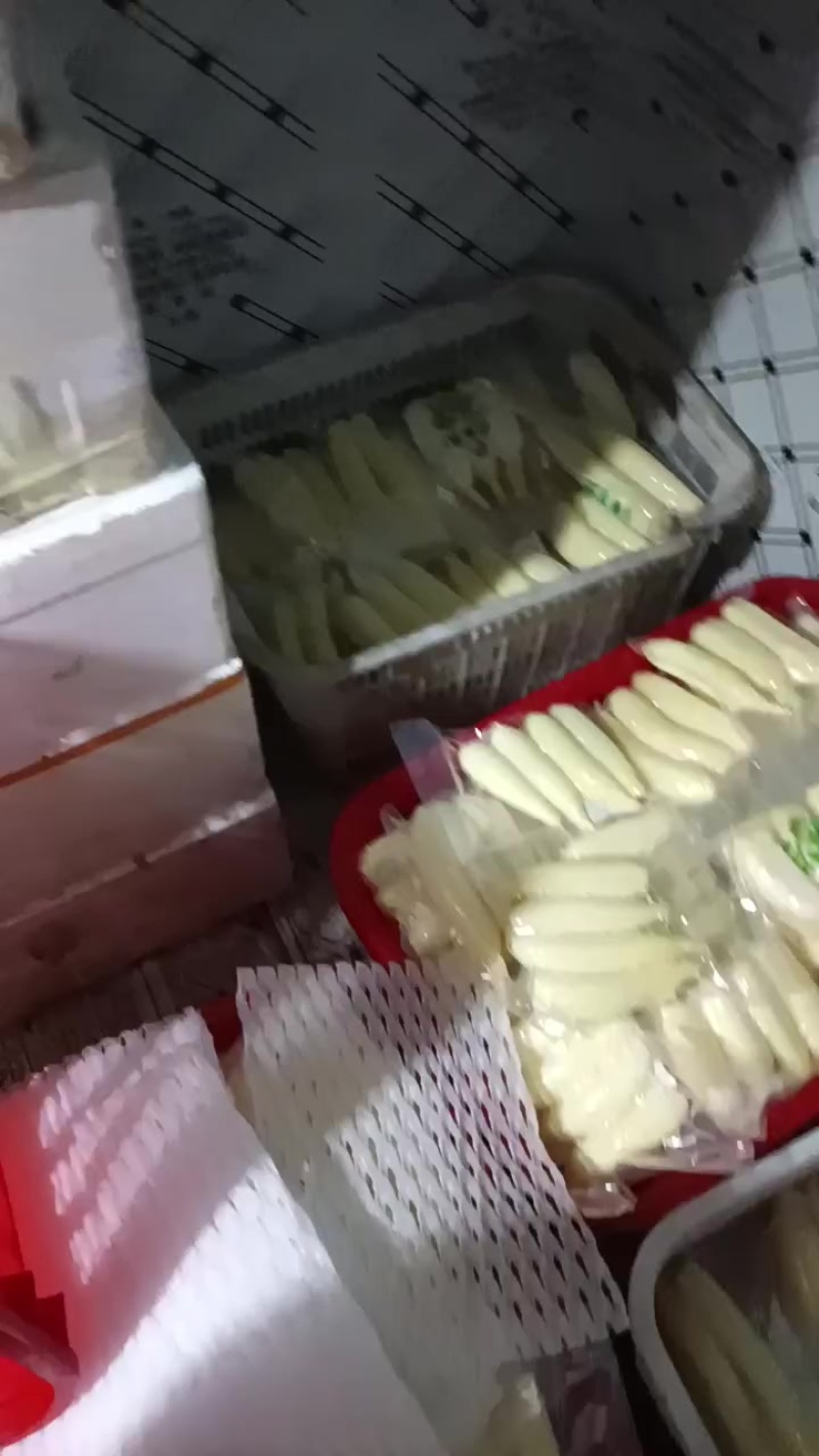 水果藕大量供应