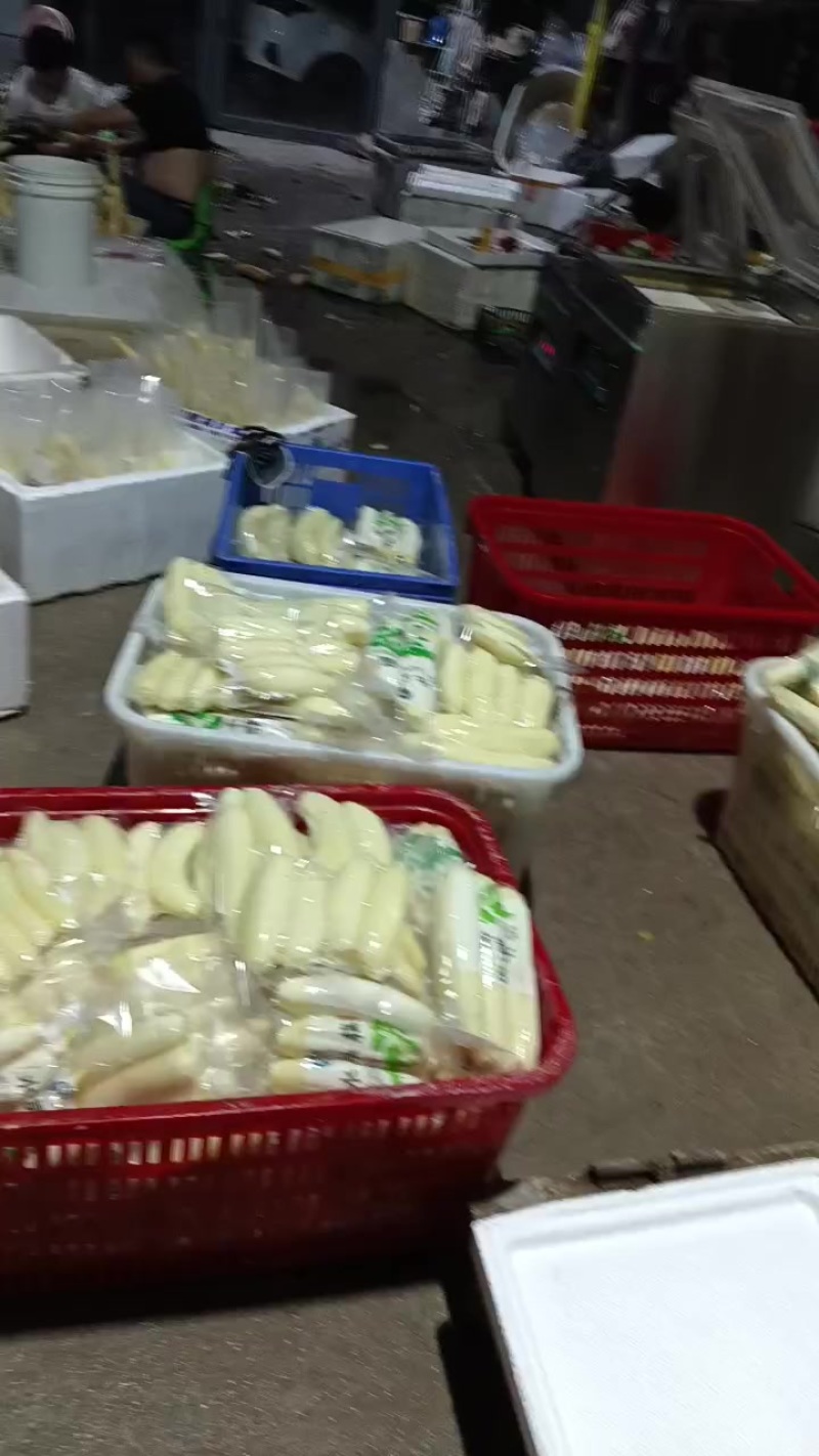 水果藕大量供应