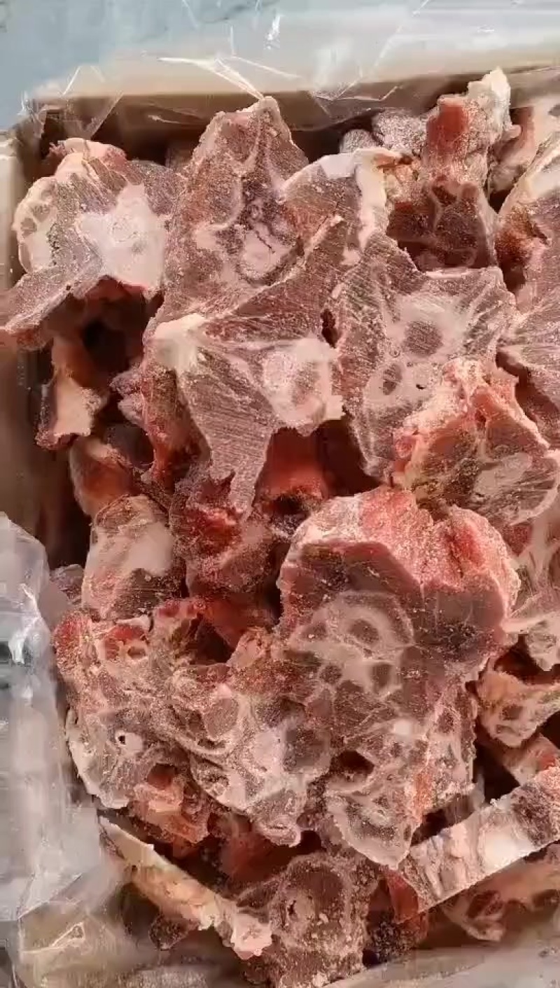 满肉羊蝎子实拍肉多新鲜