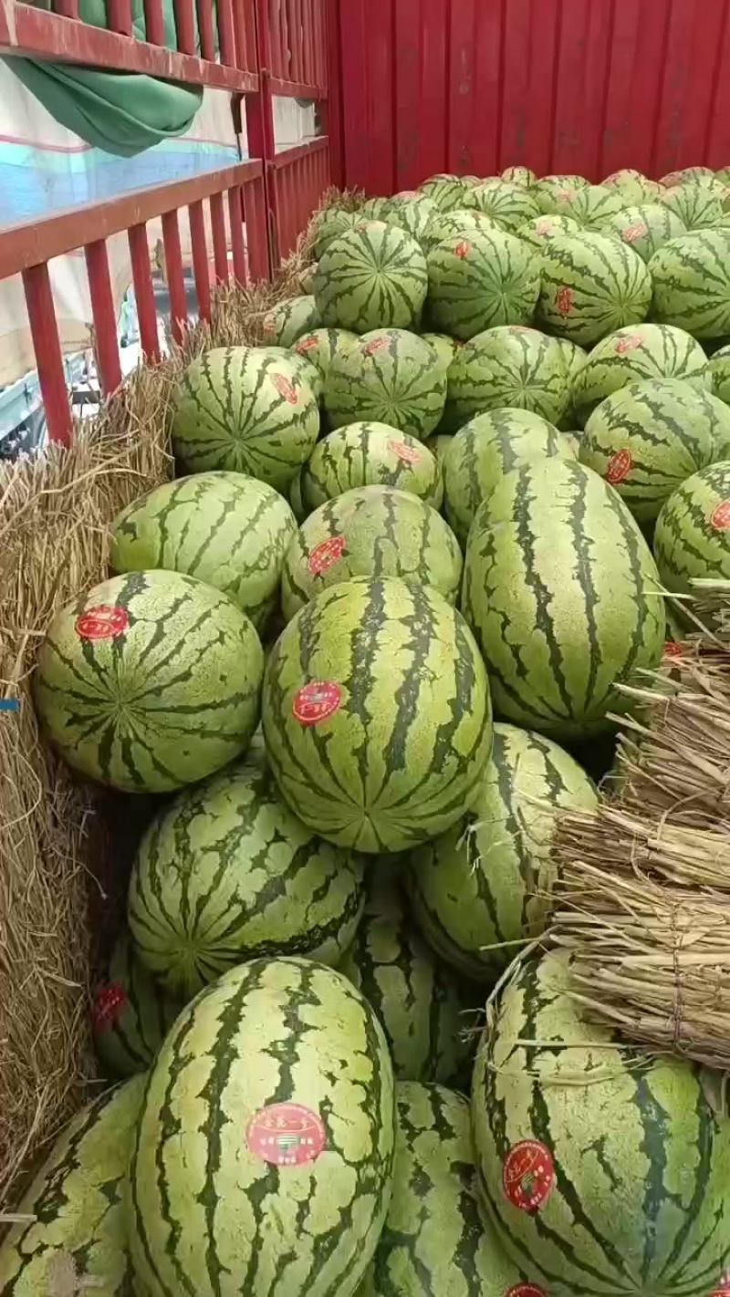 甘肃石头瓜大量上市，石头缝里蹦出来的硒砂瓜