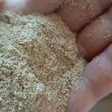 漂亮的筛糠有现货