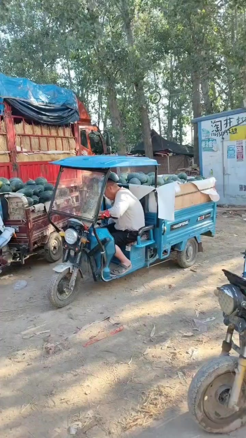 河南黑美人西瓜大量有货，价格不高有需要的老板抓紧联系我