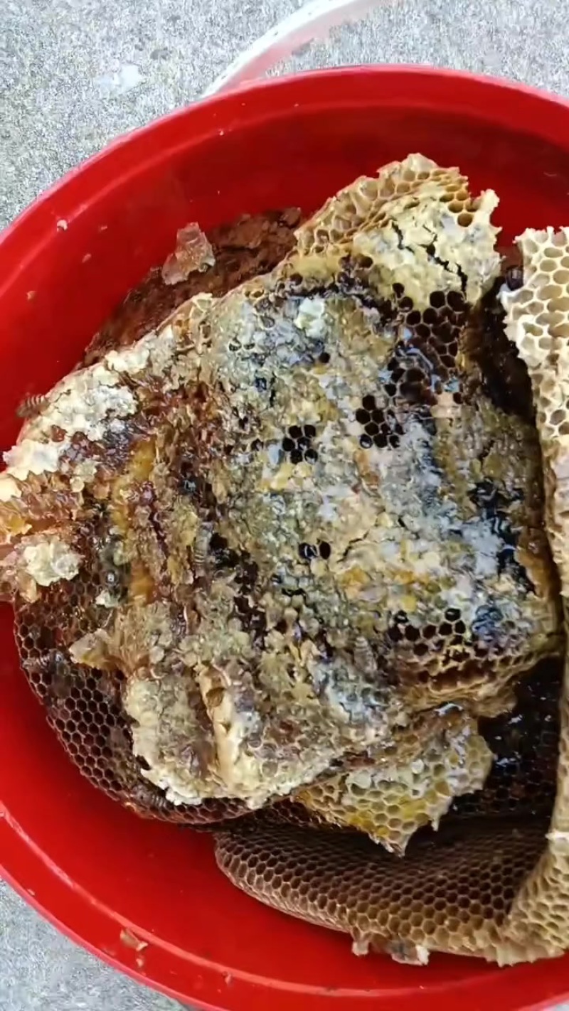纯野生蜂蜜，农村山货懂的来