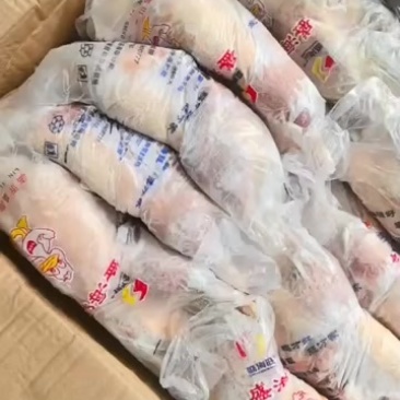 存货二级1100白条鸭十吨23年12月的货