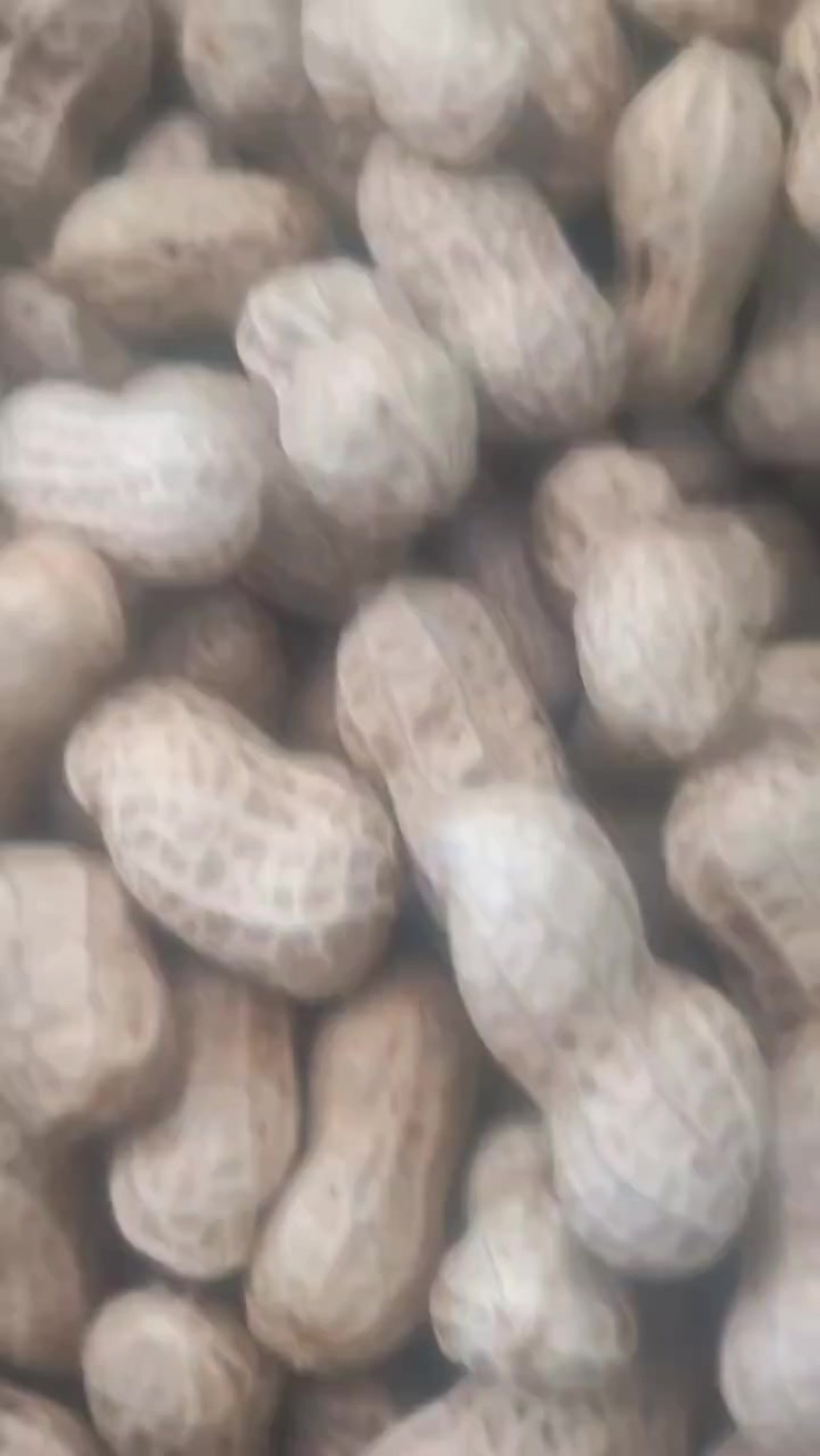 新鲜花生