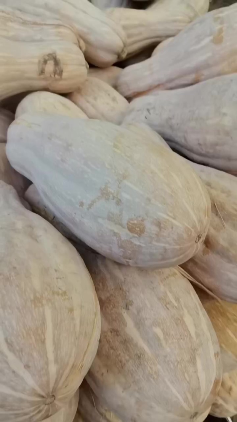 南瓜