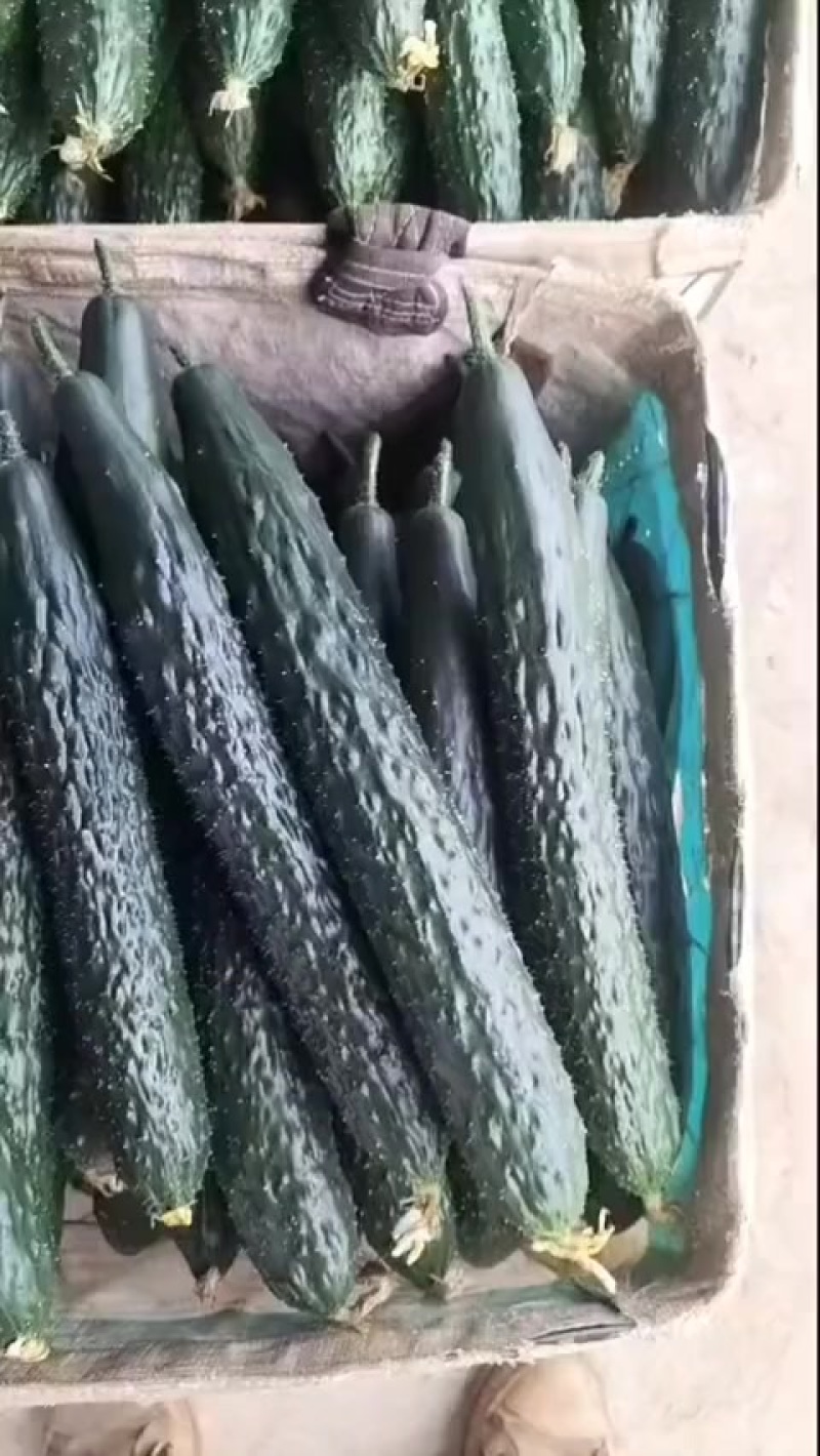新鲜