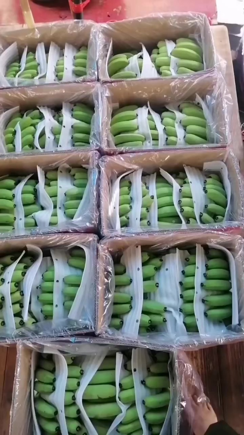 精品货中上好货中货电商货规格齐全出口，电商，商超，有需要的老