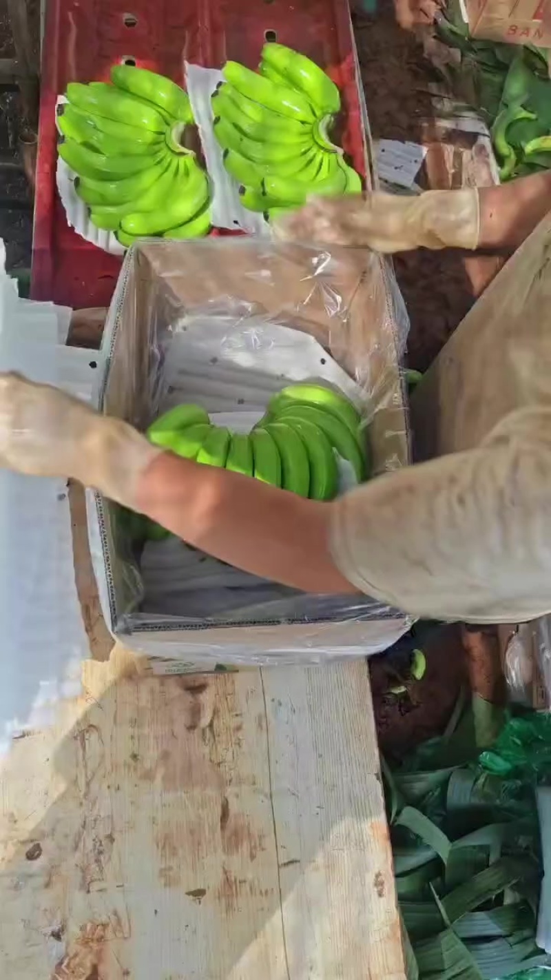精品货中上好货中货电商货规格齐全出口，电商，商超，有需要的老