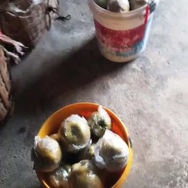 黄花梨