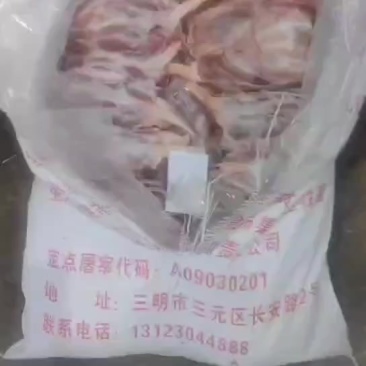 母猪后健