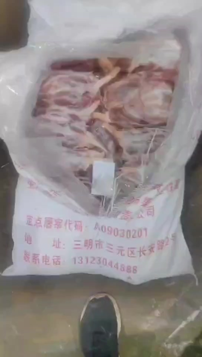 母猪后健