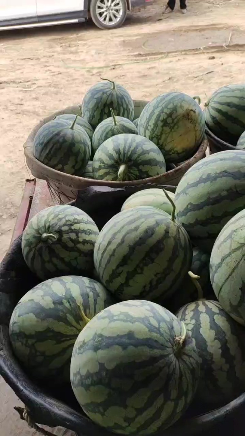 美都