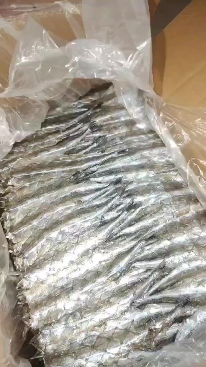 马步鱼