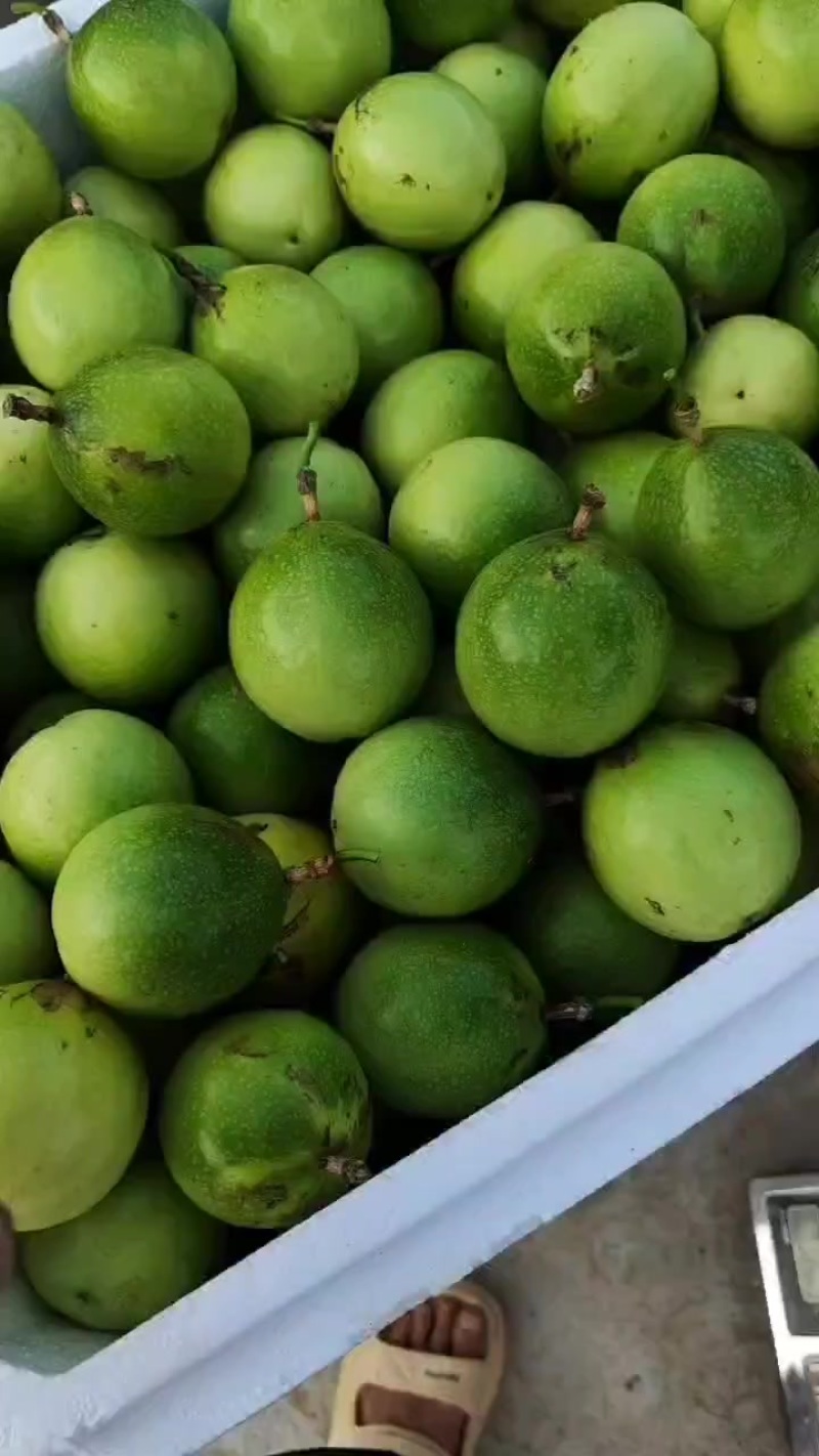 黄金百香果