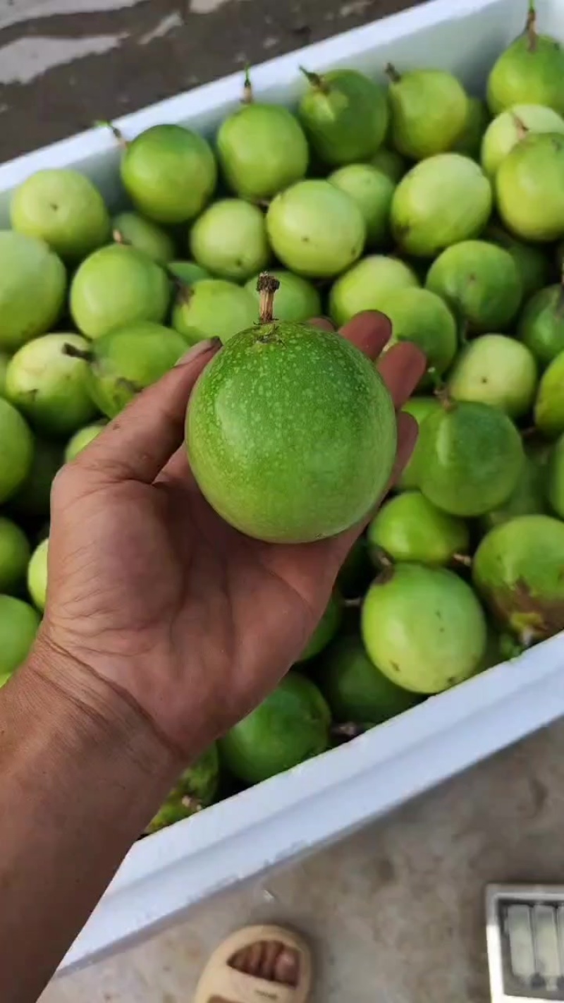 黄金百香果