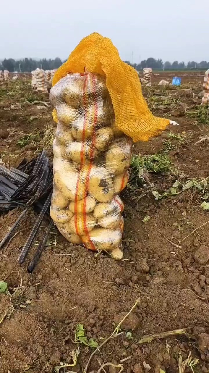 沃土