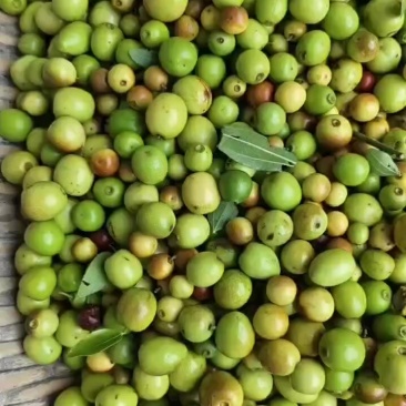 酸枣，小枣