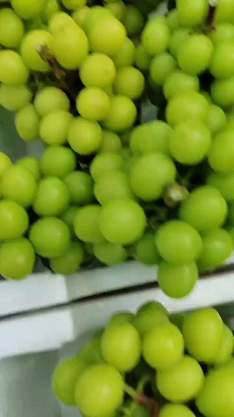 阳光玫瑰葡萄口感好干净漂亮，