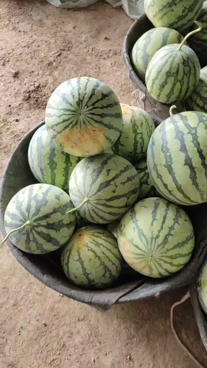 美都