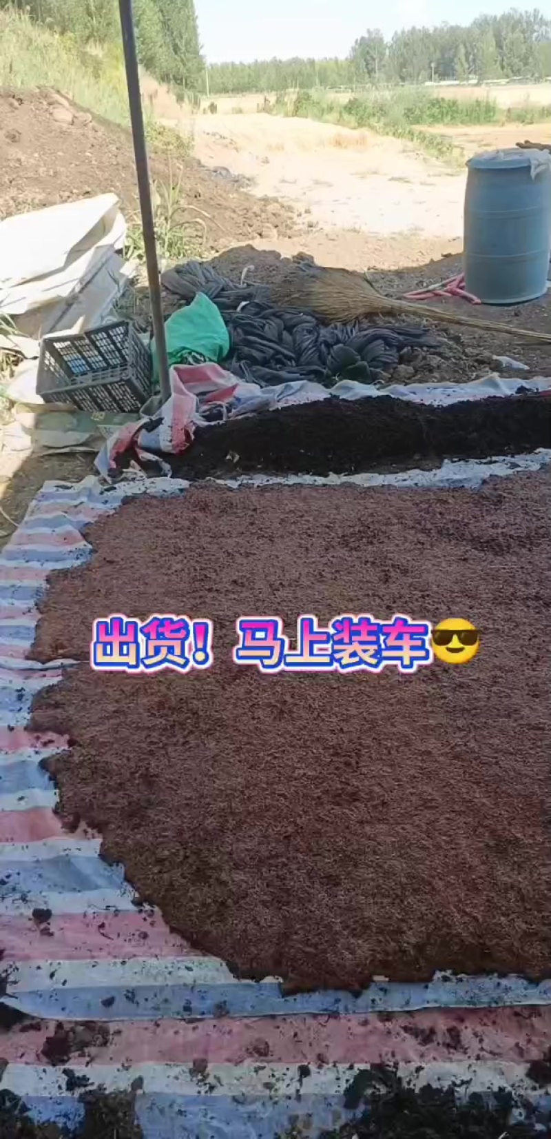 蚯蚓