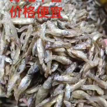 油炸小嫩子，好吃不苦，香喷喷的，2-3公分左右，全干货，