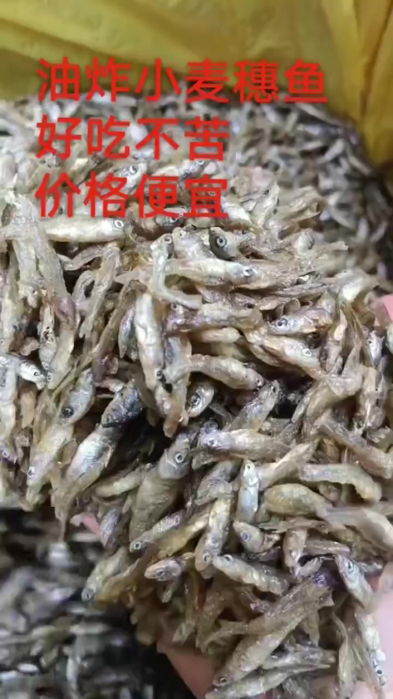 油炸小嫩子，好吃不苦，香喷喷的，2-3公分左右，全干货，
