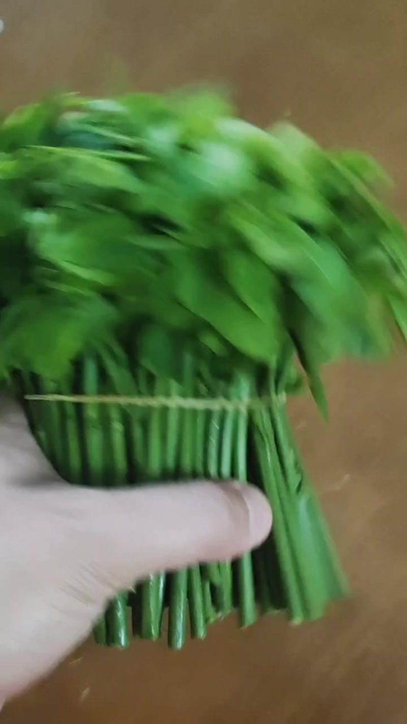 树仔菜