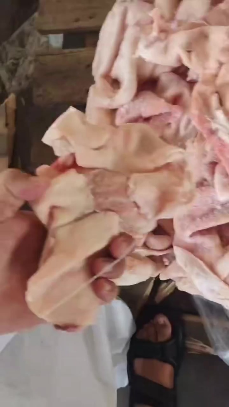 肘子皮