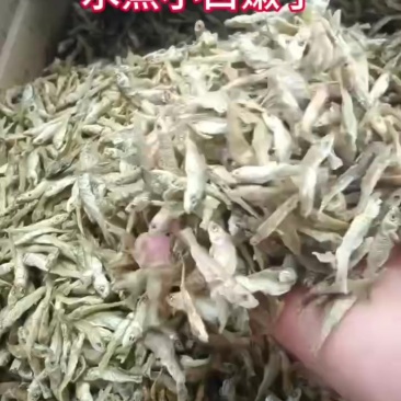 水煮小麦穗鱼，质量好，十成干好吃不苦，价格便宜，要吗？