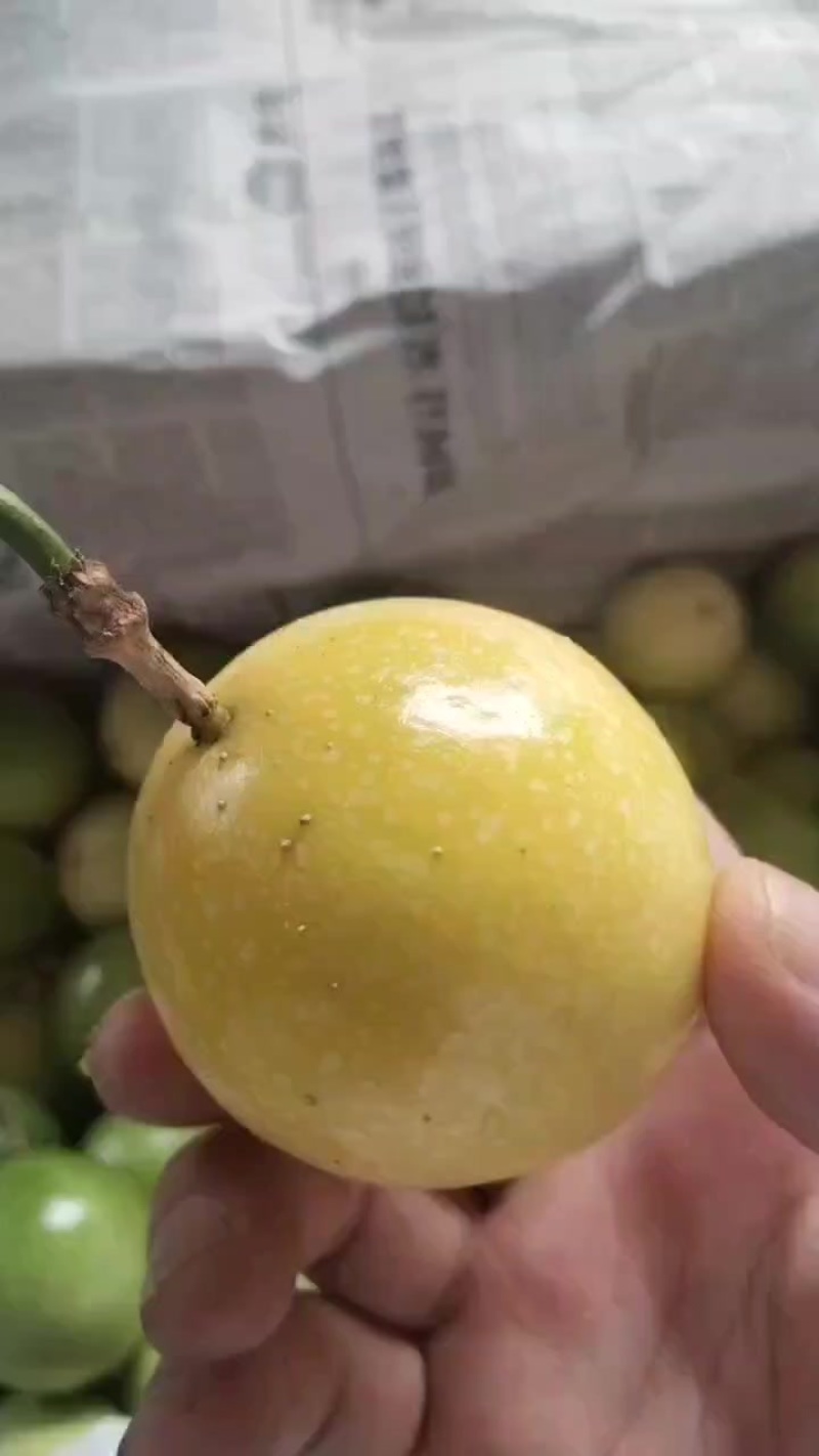 精品百香果